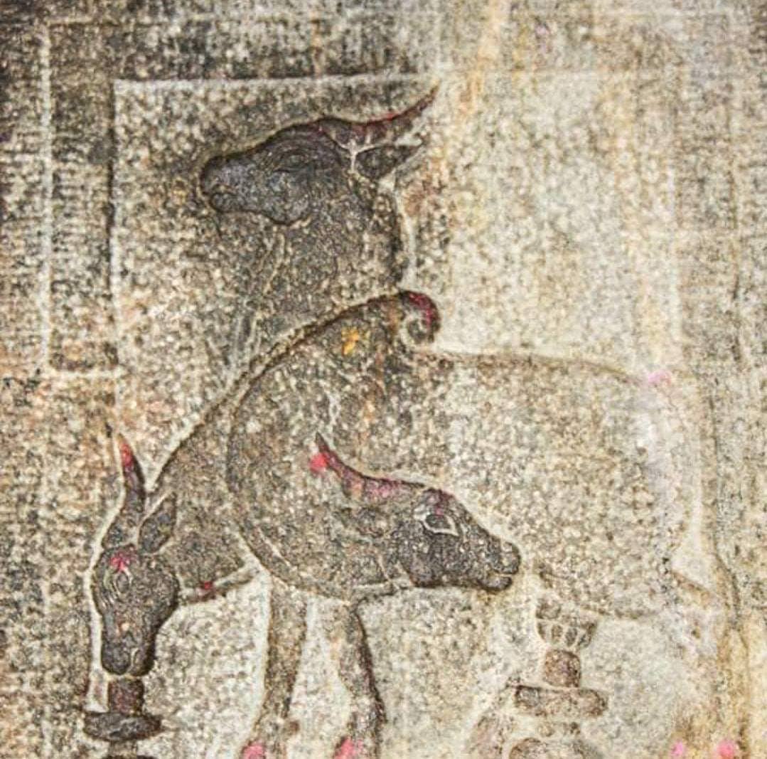 The Ancient idea of 3D, kamadhenu mother has three heads and one body. So if you…